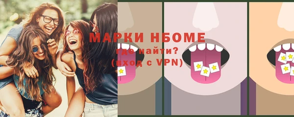 a pvp Новозыбков