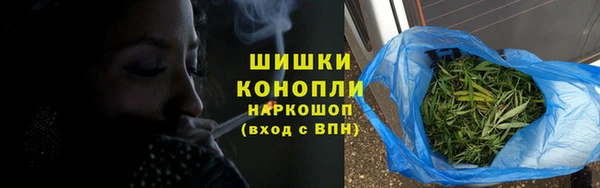 a pvp Новозыбков