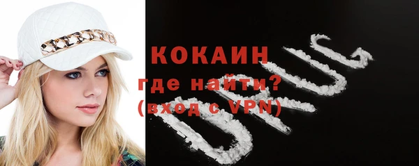 a pvp Новозыбков