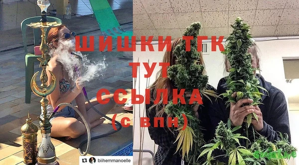 a pvp Новозыбков