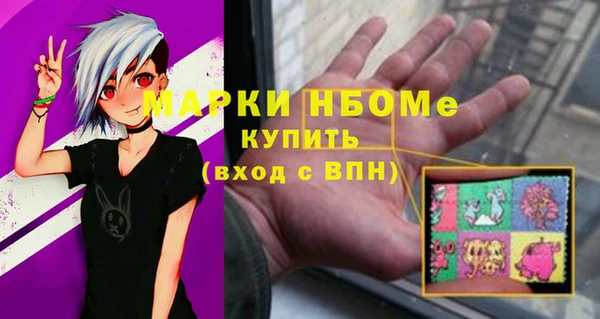 a pvp Новозыбков
